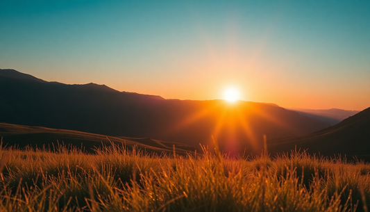 mindfullness